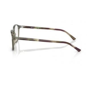 Rama de vedere Ray-Ban Leonard RB5393-8178