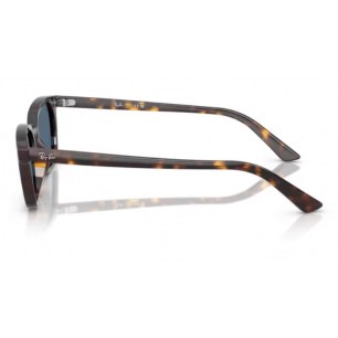 Ochelari de soare Ray-Ban Zaya RB4456-135980