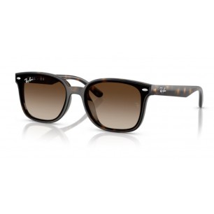 Ochelari de soare Ray-Ban RB4461D-710/13