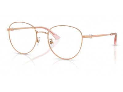 Rama de vedere Jimmy Choo JC2013HD-3008