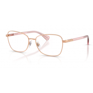 Rama de vedere Ralph RA6062-9427