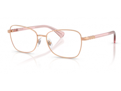 Rama de vedere Ralph RA6062-9427