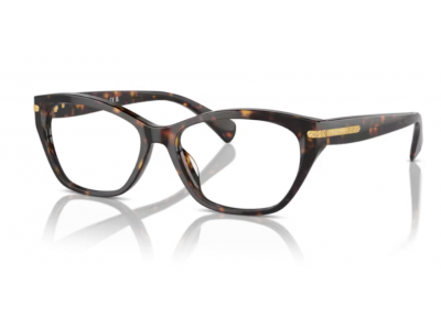 Rama de vedere Ralph RA7161U-5003