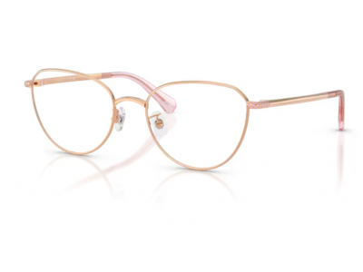 Rama de vedere Swarovski SK1029D-4014