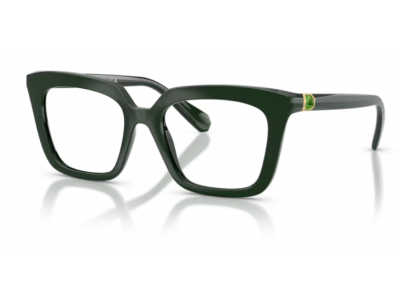 Rama de vedere Swarovski SK2043-1026